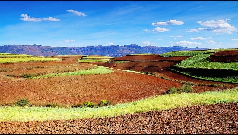 dongchuan-red-soil-6