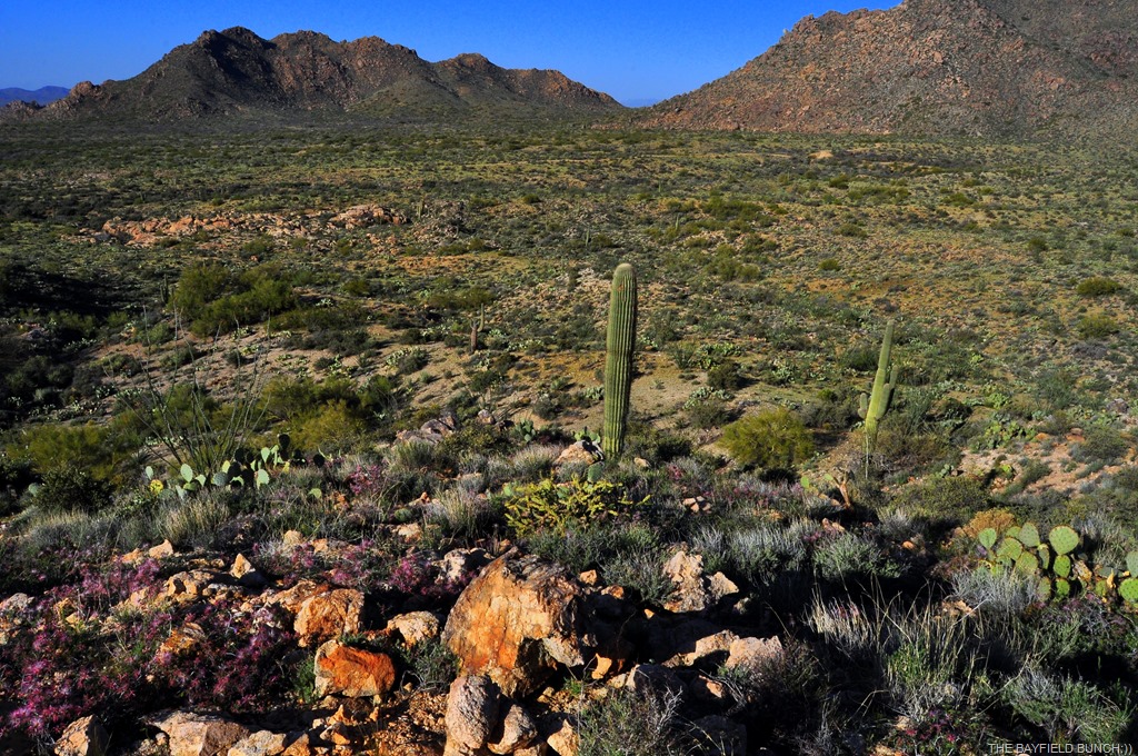 [DSC_0031%255B4%255D.jpg]