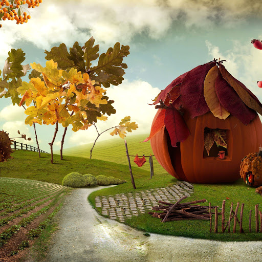 Hd-164020-ascw164020