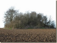 Momalle: tumulus van Noville. De tumulus ligt op het grondgebied van Momalle, deelgemeente van Remicourt, maar vlakbij Noville, deelgemeente van Fexhe-le-haut-Clocher