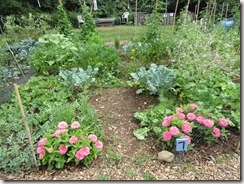 Bolton Community Garden in August