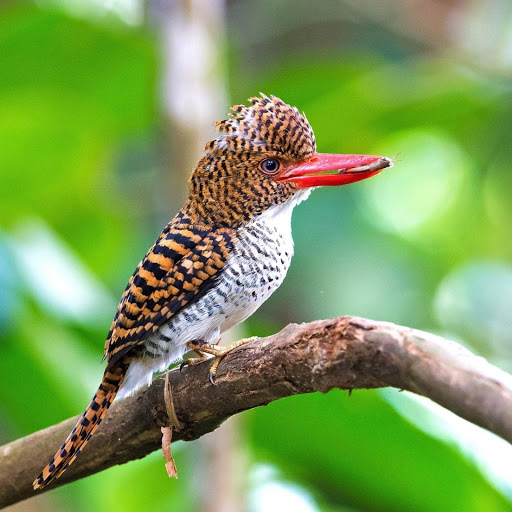 Hd-178653-ascw178653