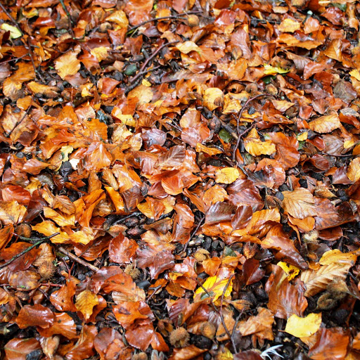 Hd-164184-ascw164184