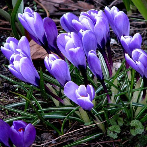 Hd-181678-ascw181678