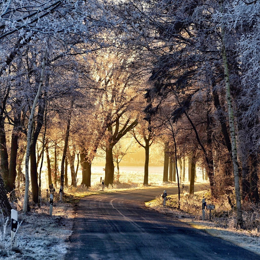 Hd-190600-ascw190600