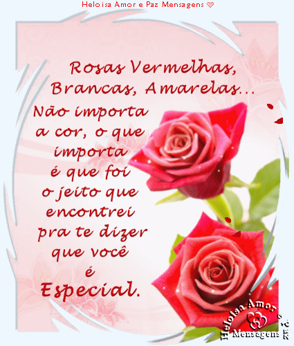 flores2.png