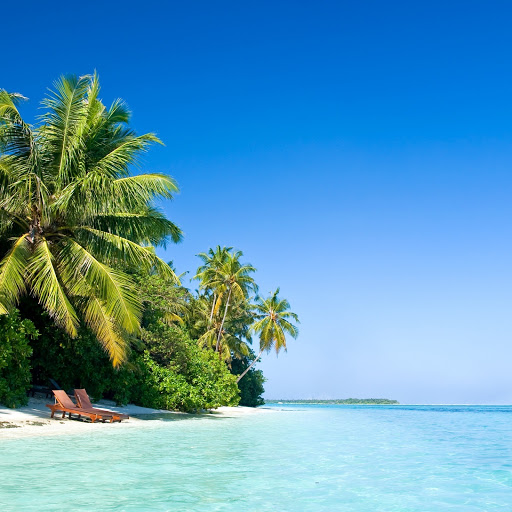 Hd-175514-ascw175514