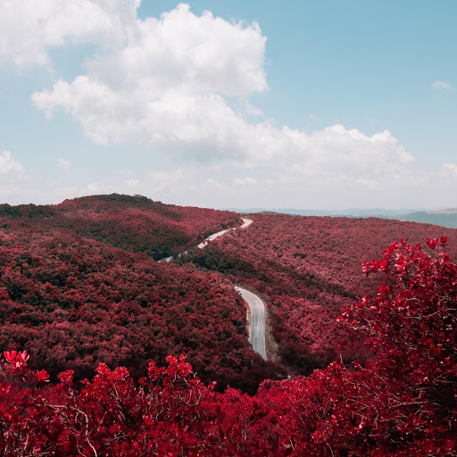 Hd-175420-ascw175420