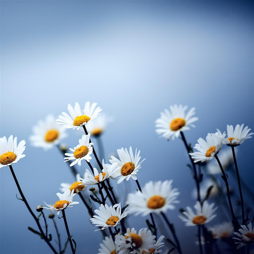 Hd-179618-ascw179618