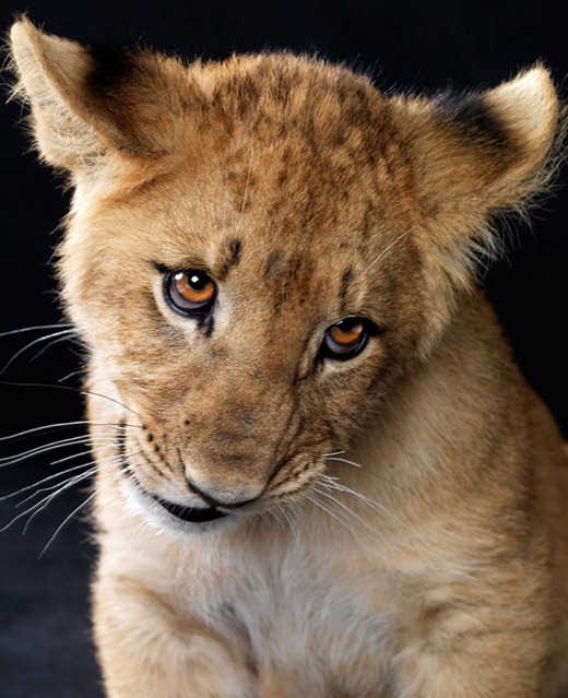 [url22%255B2%255D.jpg]