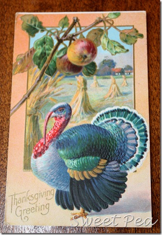 Thanksgiving Card5