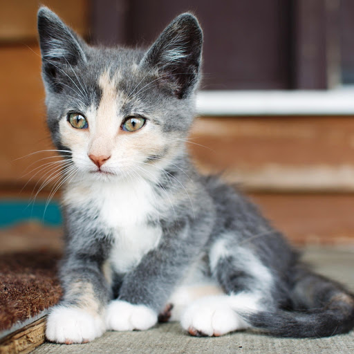 Hd-147434-ascw147434