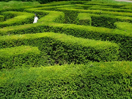 Leeds Maze