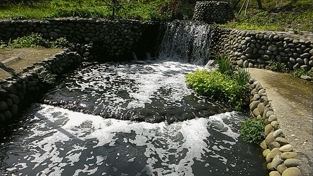 [P_20141106_123002%255B4%255D.gif]