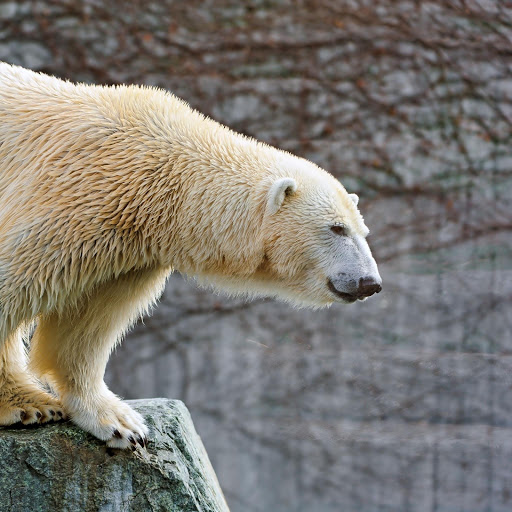 Hd-174428-ascw174428