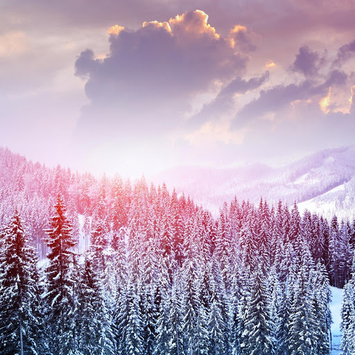 Hd-169910-ascw169910