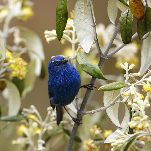 Hd-179844-ascw179844