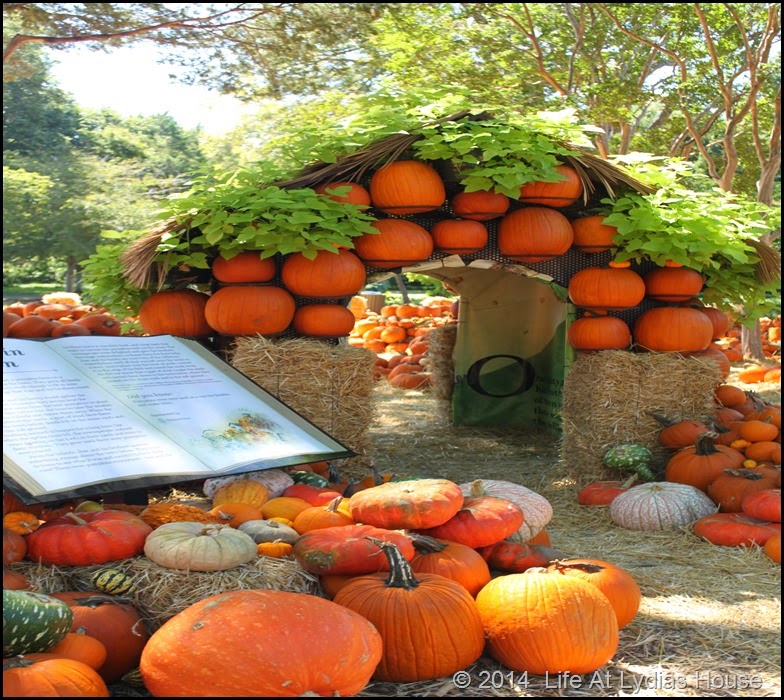 Dallas Arboretum - pumpkin festival-pumpkin house 2