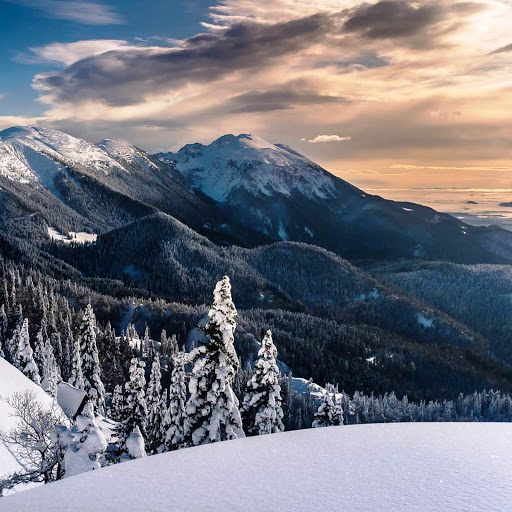 Hd-150426-ascw150426