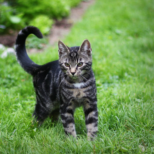 Hd-178279-ascw178279