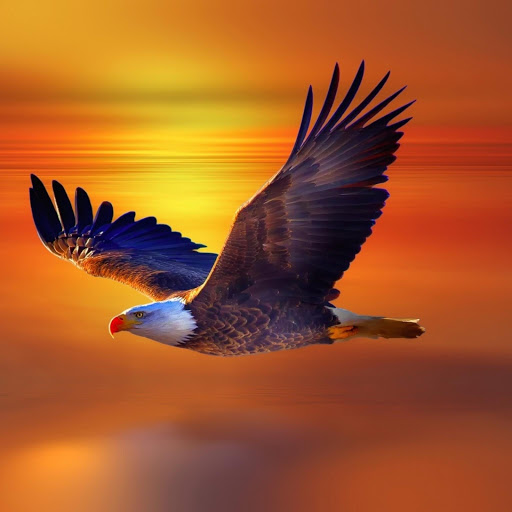 Hd-176495-ascw176495