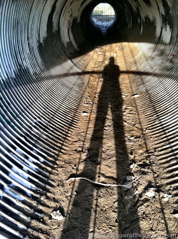 [IMG_5921---Copy-23.jpg]