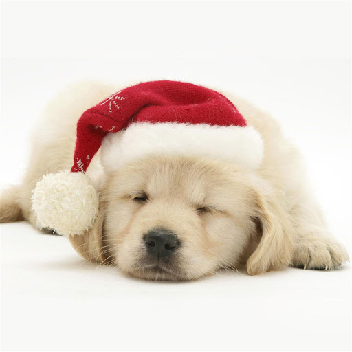 Hd-135389-ascw135389