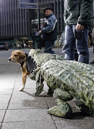 [clip_image030%255B4%255D.jpg]