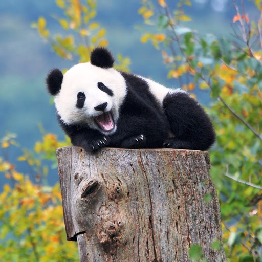 Hd-148359-ascw148359