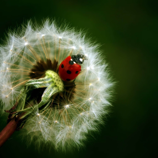 Hd-151465-ascw151465