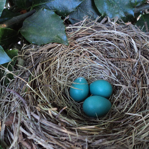 Hd-152562-ascw152562