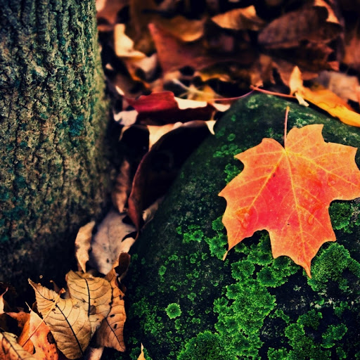 Hd-147154-ascw147154