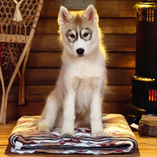 Hd-173494-ascw173494