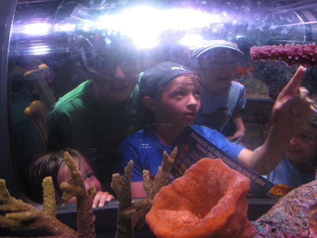 [IMG_8444%255B2%255D.jpg]