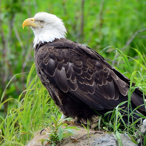 Hd-180143-ascw180143