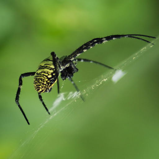 Hd-157292-ascw157292