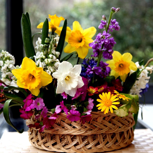 Hd-177933-ascw177933