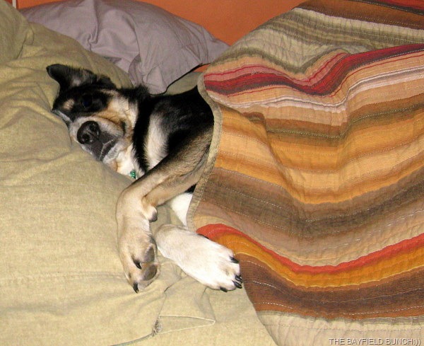 [IMG_3024%255B4%255D.jpg]