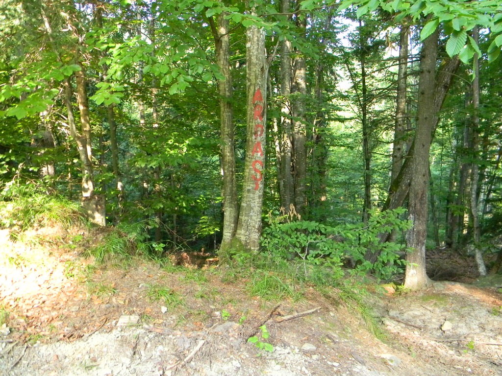 [DSCN84013.jpg]