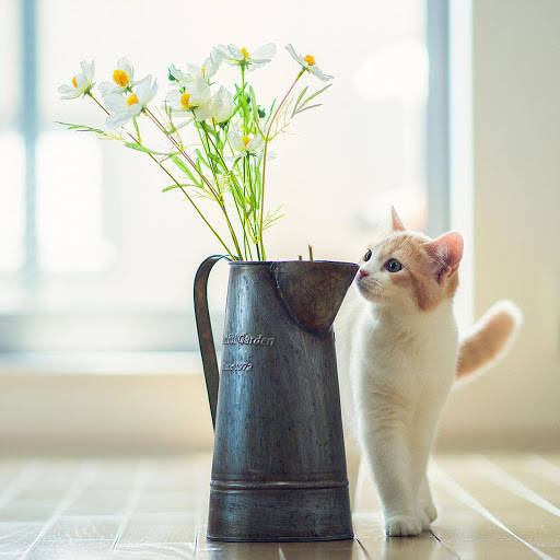 Hd-174067-ascw174067