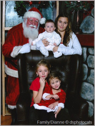 The girls and Santa 2011 