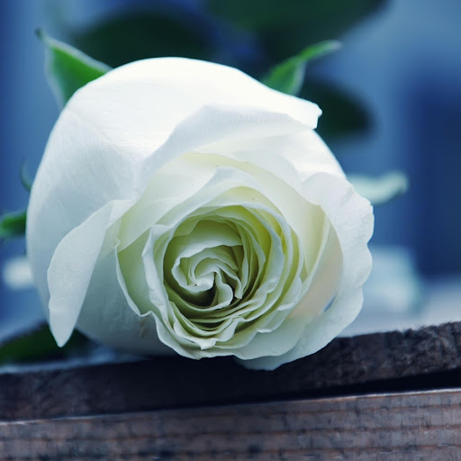 Hd-177289-ascw177289