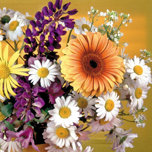 Hd-149214-ascw149214