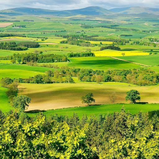 Hd-149789-ascw149789