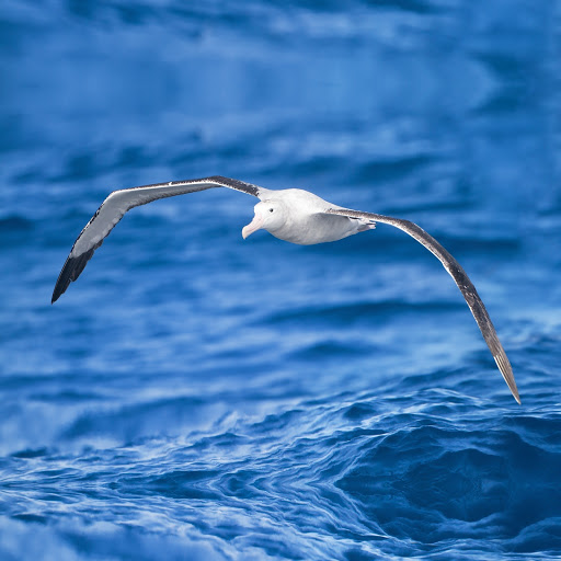 Hd-173574-ascw173574