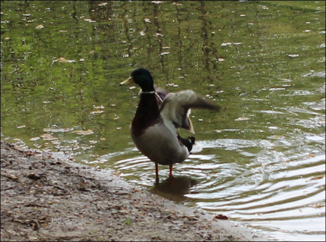 Faberpark Spaziergang 4