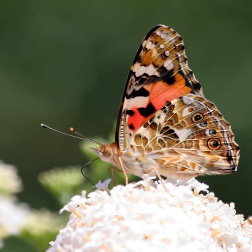 Hd-167589-ascw167589