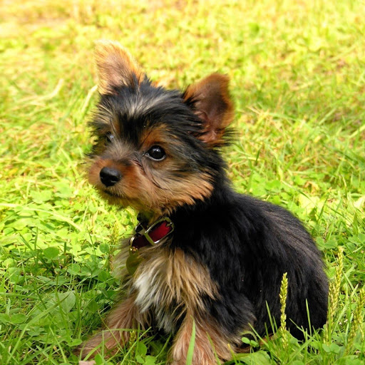 Hd-166338-ascw166338