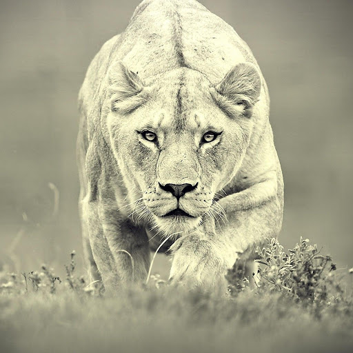 Hd-177257-ascw177257