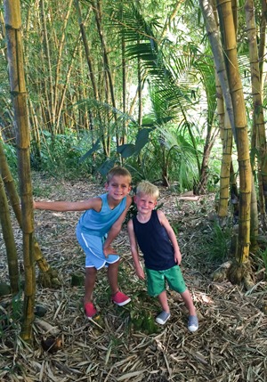 boys in bamboo forest (1 of 1)